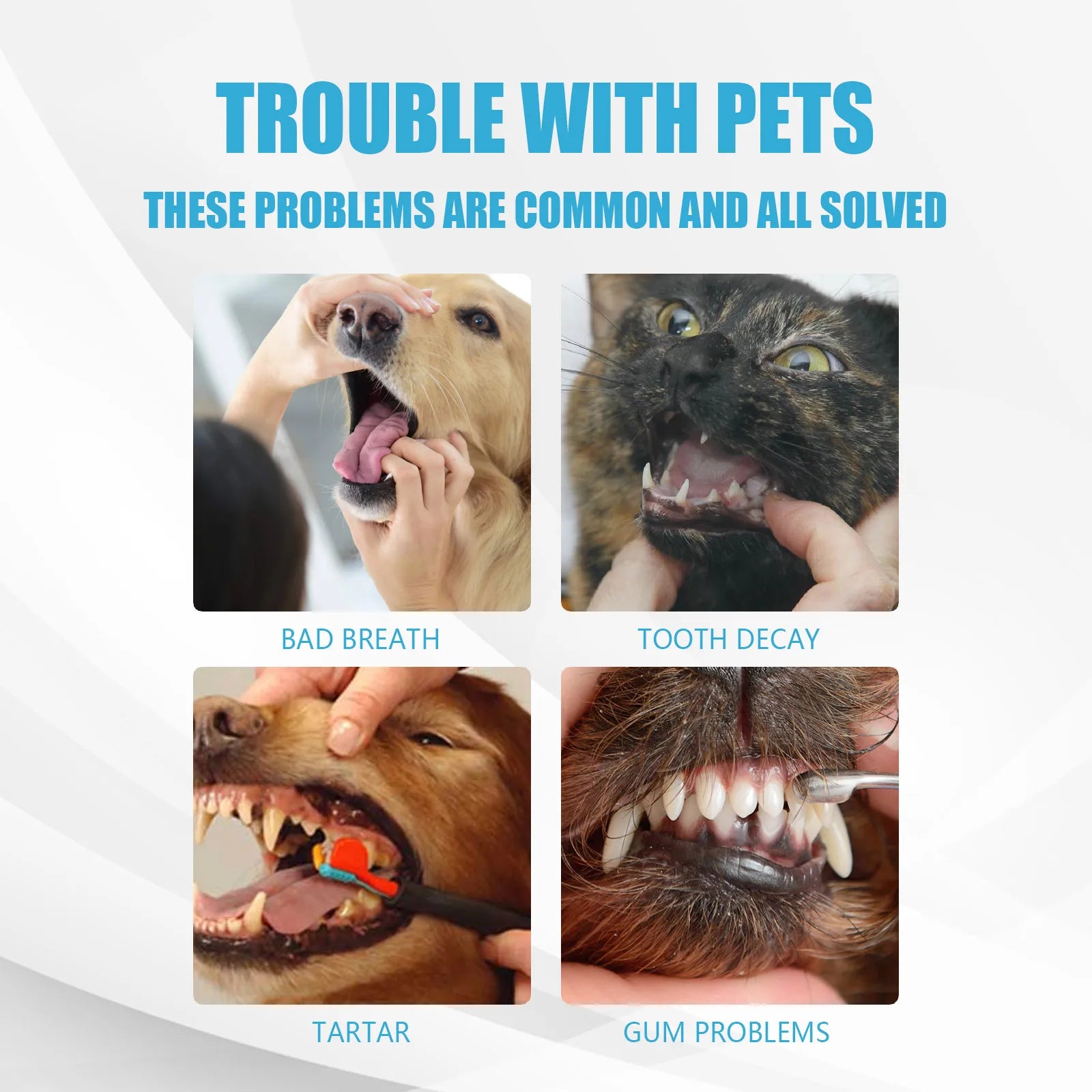 Pet Toothpaste for Dogs & Cats – Fresh Breath & Tartar Control Formula